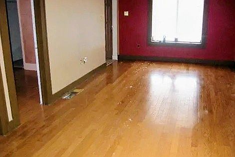 2nd image of 511 Payton Ave