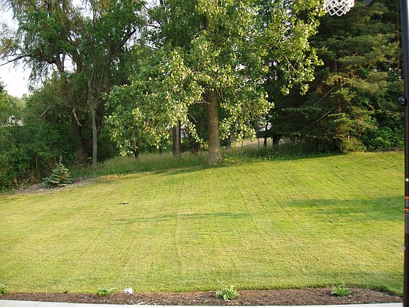 No houses behind. Semi-wooded area behind.