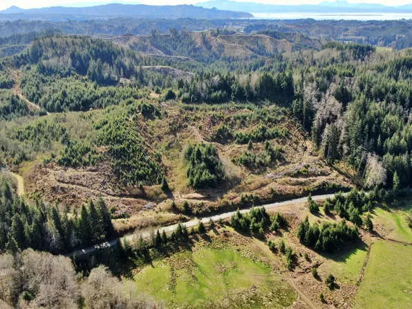 0 M.P. 1.4 Salmon Creek Road, Naselle, WA 98638