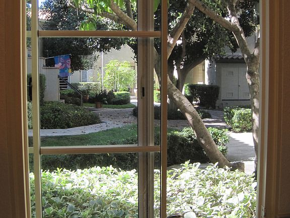 View from kitchen window