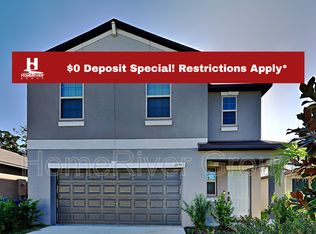 11934 Miracle Mile Dr, Riverview, FL 33578