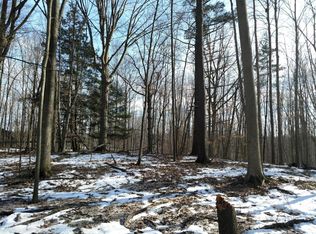 12494 60th Ave, Allendale, MI 49401