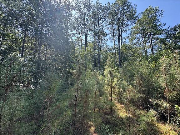 5th image of 47444 Lawrence Creek Rd