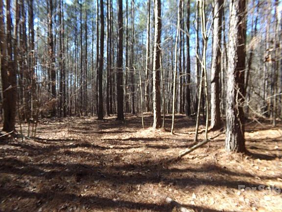 5th image of 42 Ac Ln #55