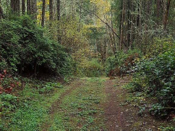 4th image of 188TH Ave-parcel #0021344027