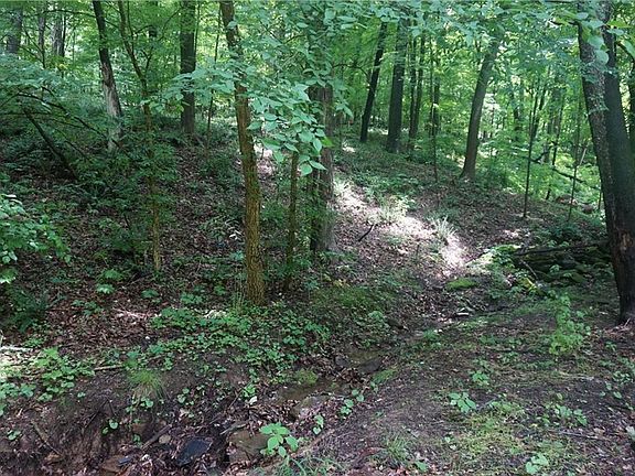 Beautiful woods w/creek bed