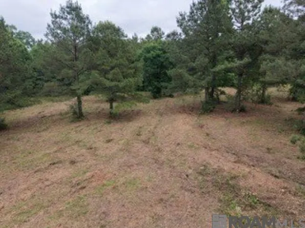 10 Tbd La Hwy, Clinton, LA 70722