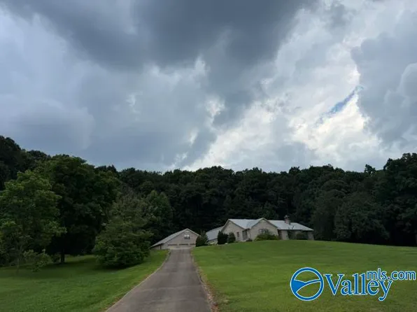 4486 County Road 458, Collinsville, AL 35961