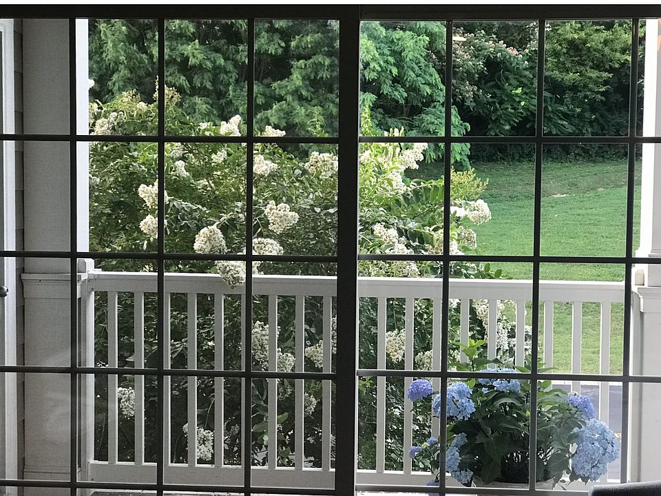 Tranquil view from living rm