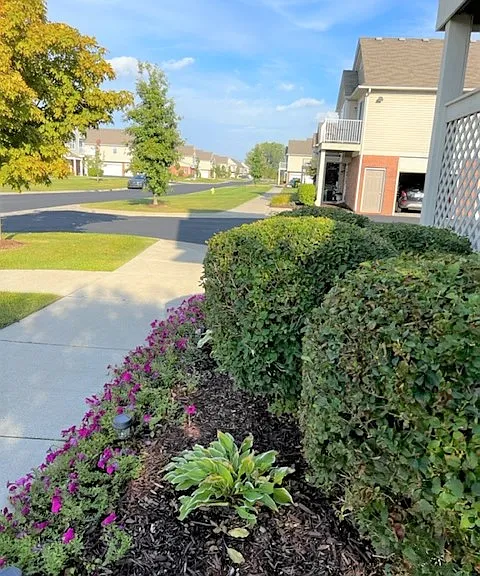 28222 S Pointe Ln — Photo 3