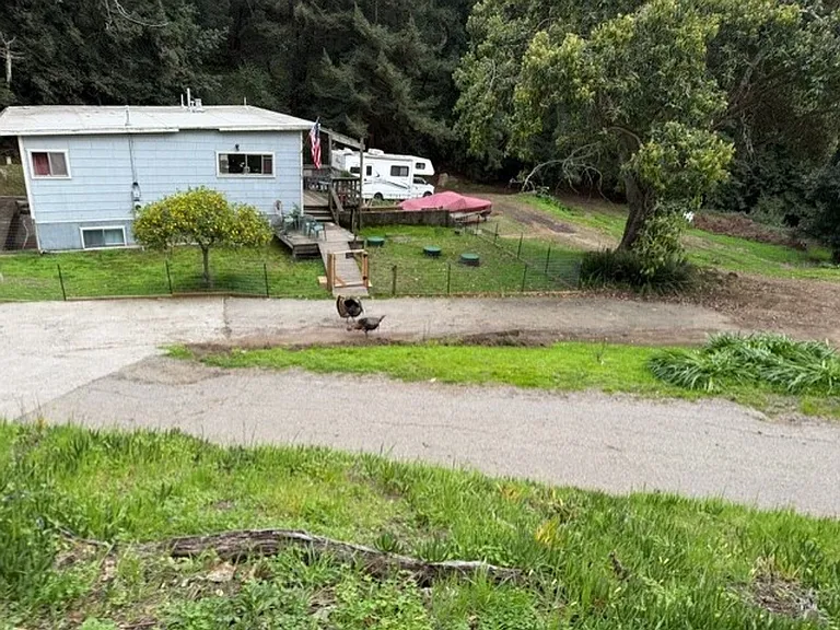 7120 Oak Ridge Rd — Photo 11