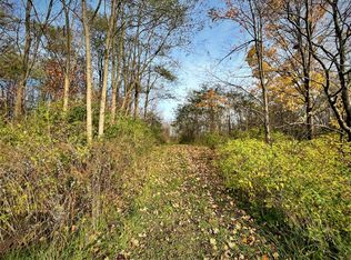 Bennett State Rd, Silver creek, NY 14136