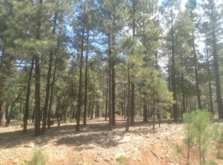 2465 San Juan Dr, Happy Jack, AZ 86024