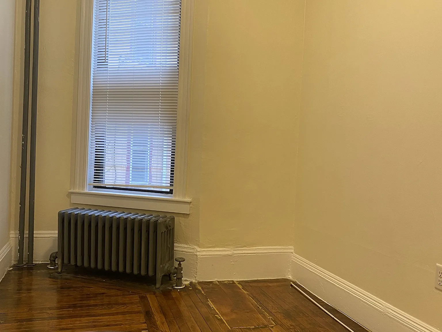 81 Ruthven Street - 1 — Photo 2