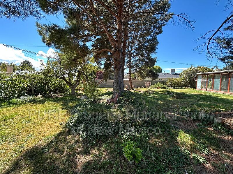 2nd image of 507 Iva Dr