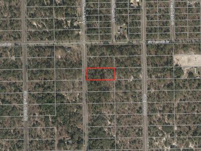 Und Undertermined, Dunnellon, FL, 34431
