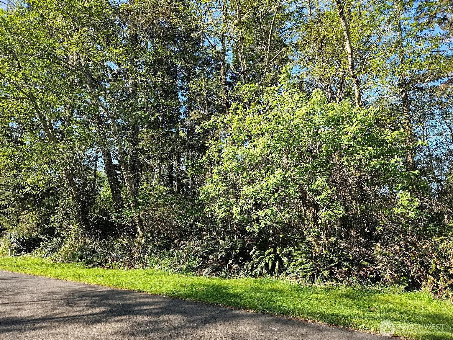 701 Chenois Avenue NE photo 1