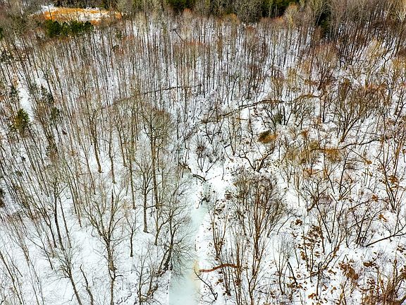 3rd image of 15 Farmville Rd