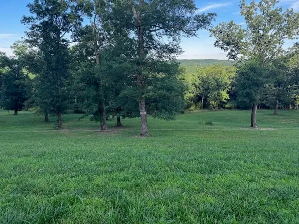 000 Meadowview Lane, Saddlebrooke, MO 65630
