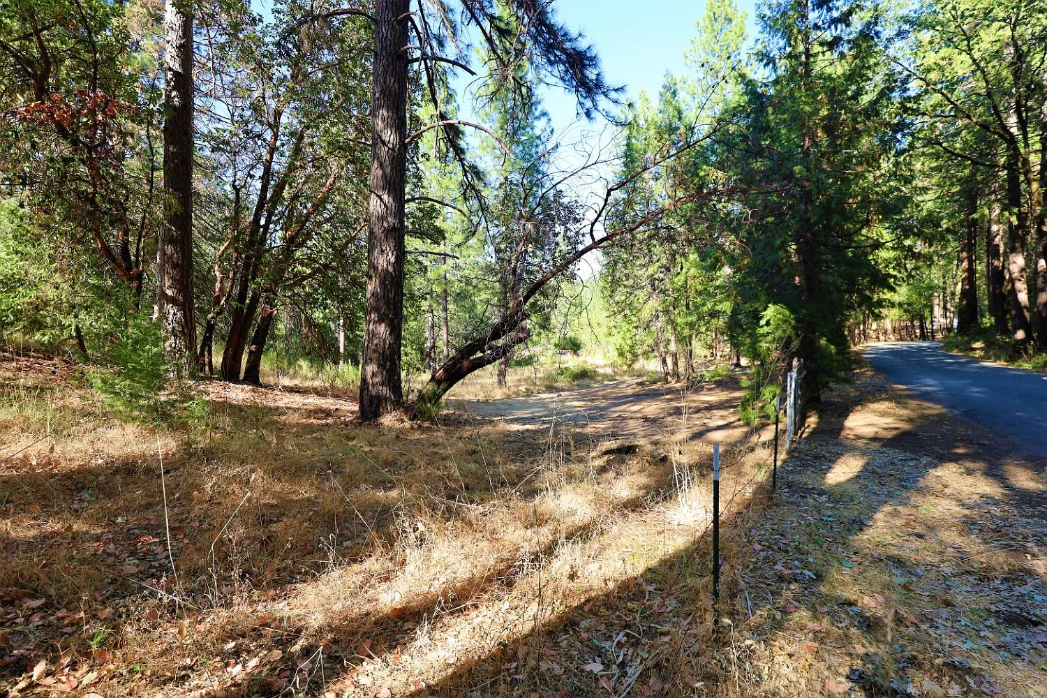 12310 Robinson Rd photo 1