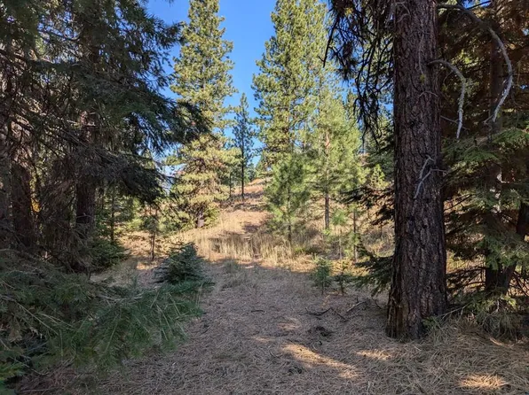 Tbd Harrington Pl, McCall, ID 83638