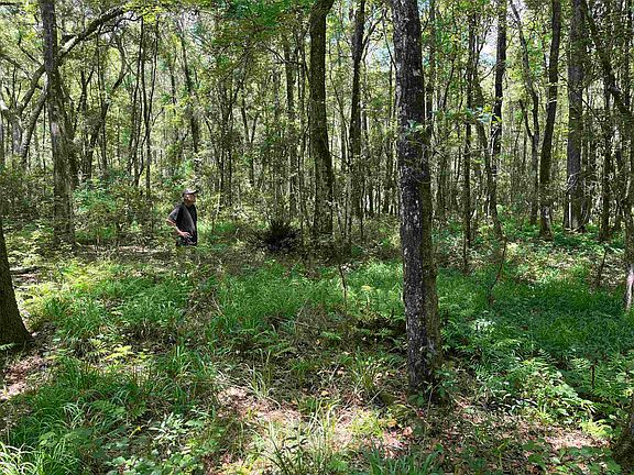 3rd image of Sneads Dr