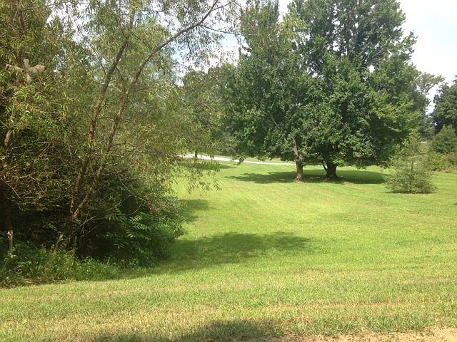 2nd image of 798 W Holly Dr