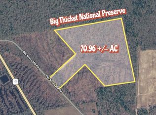 /old Sour Lake Rd, Sour Lake, TX 77659