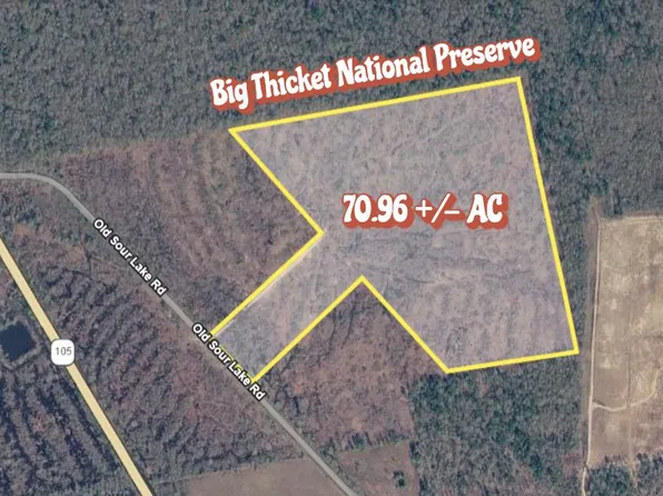 /old Sour Lake Rd, Sour Lake, TX 77659