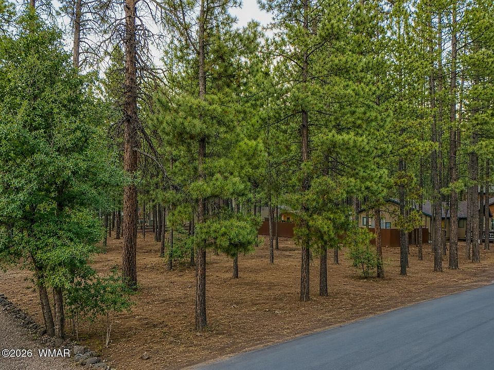 1st image of 4266 Deep Forest Dr