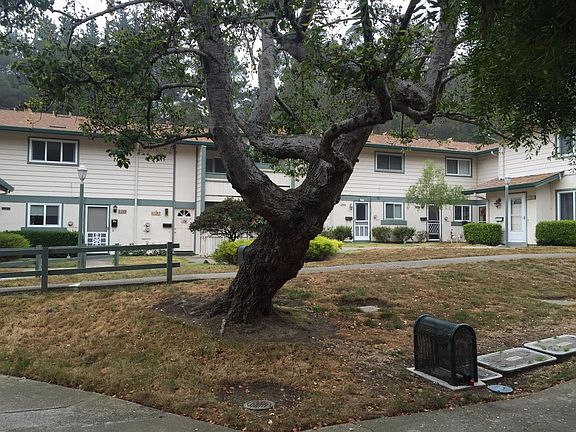 2nd image of 1345 Terra Nova Blvd