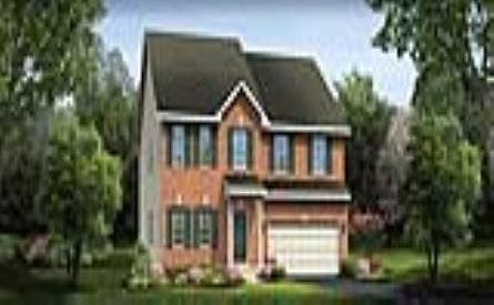 ElevationImage