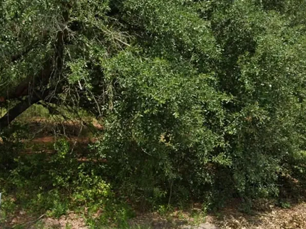 801 Glen Acres Dr, Hartsville, SC 29550