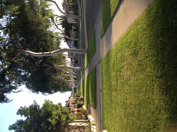 beautiful neighborhood