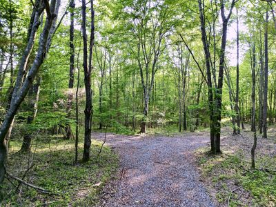 2956 Morgan Rd Lot Tr 1, Joelton, TN, 37080