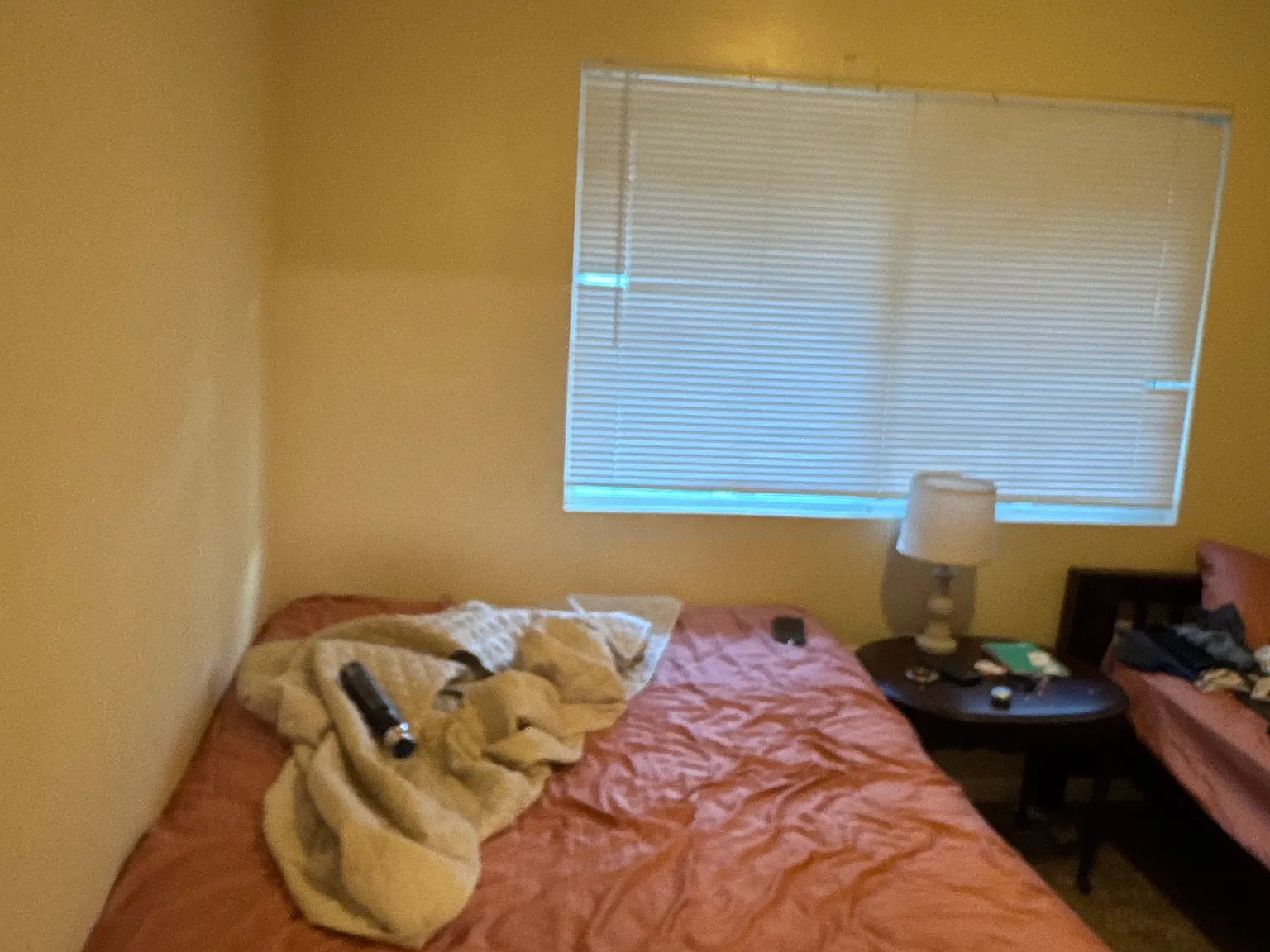 2 bed, 800 sqft, $1,570 — Photo 3