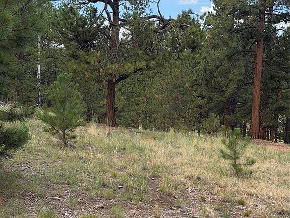 2nd image of 11042 County Road 1
