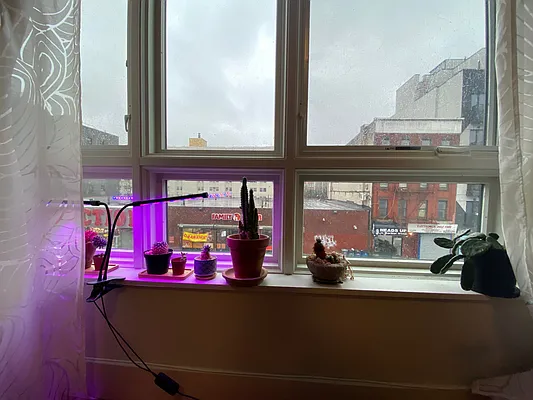 Rented by City Vista Inc | media 31