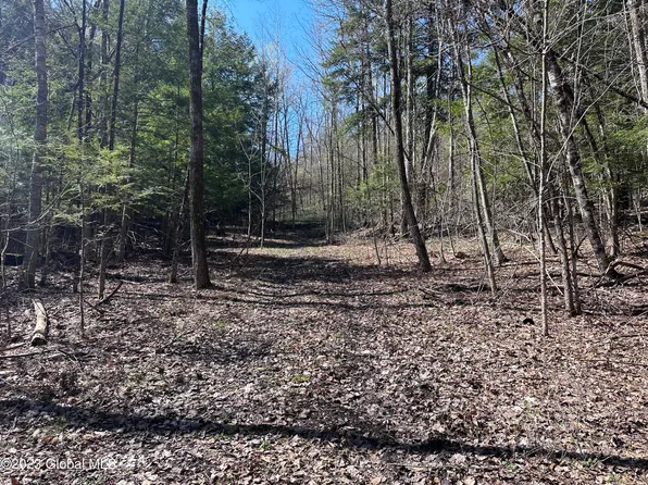 L4 Putnam Center Road, Putnam Station, NY 12861