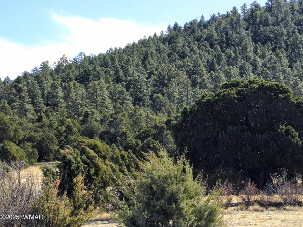 LOT 8 Red Cabin Rnch, Vernon, AZ 85940