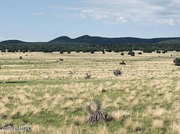 108B W Bucking Horse Rd, Seligman, AZ 86337