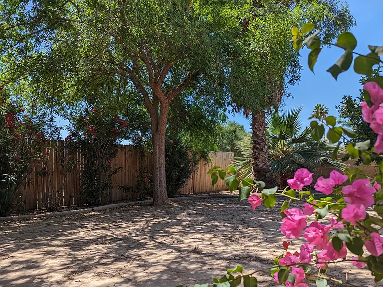 2035 E Cornell Dr — Photo 5
