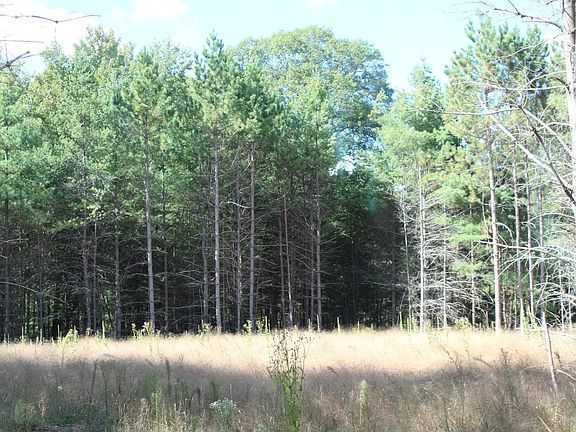 4th image of Hay Creek Rd