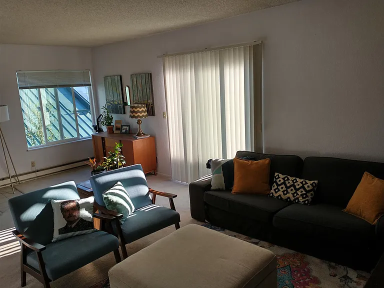 Large sunny living room