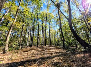 3047 Fickling Hill Rd #C-1, Johns Island, SC 29455