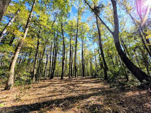 3047 Fickling Hill Rd #C-1, Johns Island, SC 29455