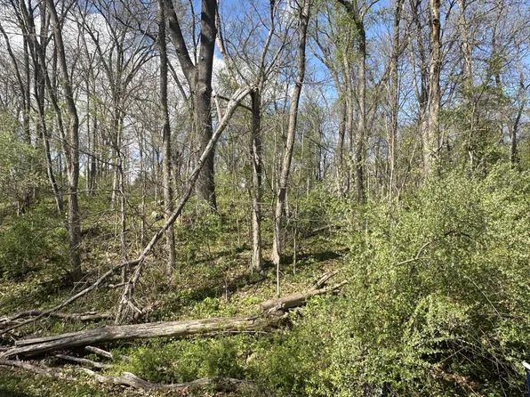 LOT 168 Lake Thunderbird Hls, Putnam, IL 61560