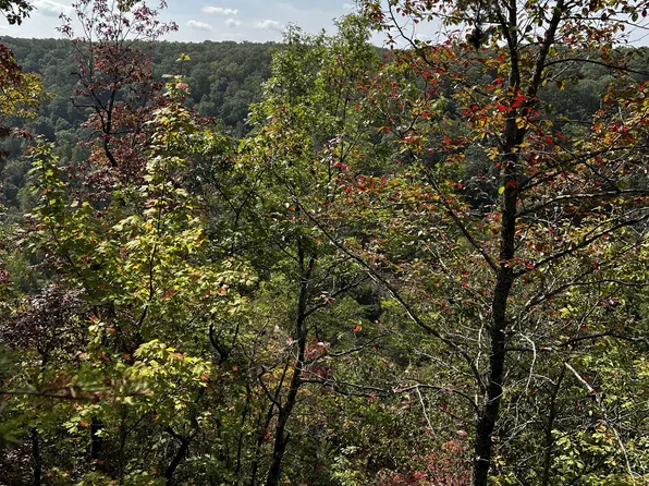 0 Old Falls Trl #14-15, Tracy City, TN 37387
