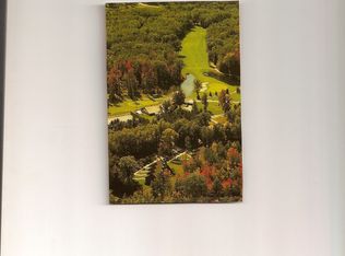 6767 Little Hemlock St, Canadian Lakes, MI 49346