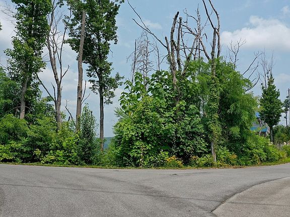 2nd image of LOT 480 Pinecrest Dr Lot 480